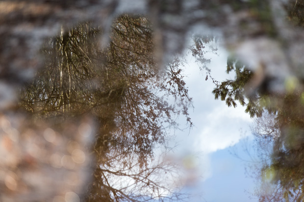 FF_fotografie_winter_sneeuw_Canon6D_12