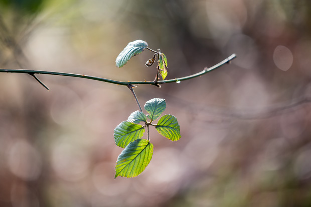 FF_fotografie_winter_sneeuw_Canon6D_14