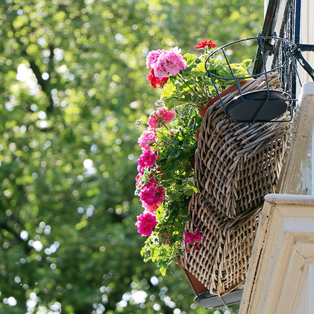 FF_tutorial_valentijnsdag_roze_Photoshop_foto_01