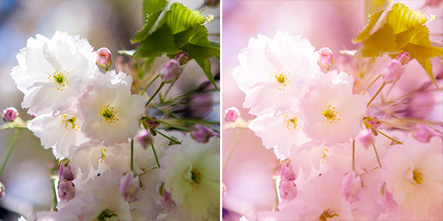 FF_tutorial_valentijnsdag_roze_Photoshop_foto_07