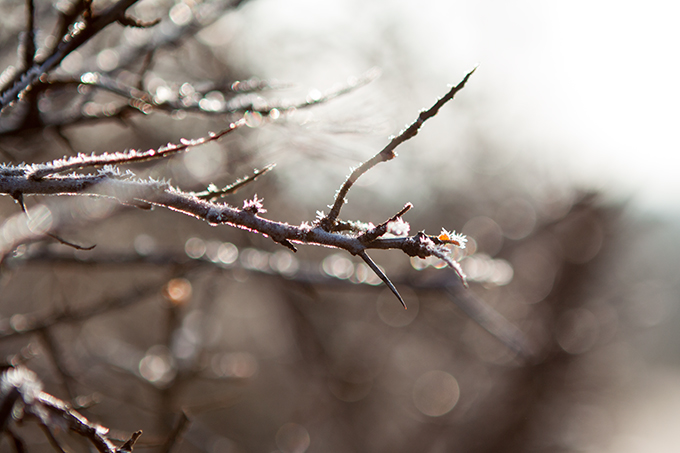 FF_winter_zeeland_2011_fotografie_02