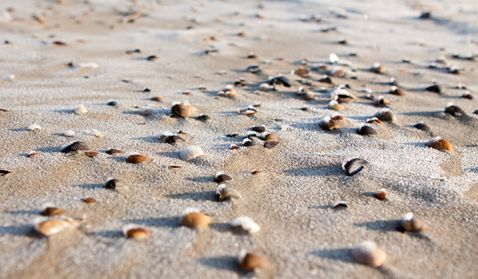 FF_winter_zeeland_2011_fotografie_05
