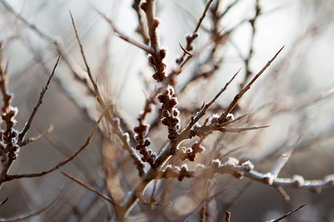 FF_winter_zeeland_2011_fotografie_07