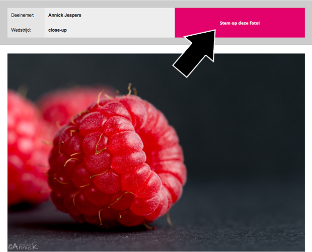 FF_fotowedstrijd_close-up_stemmen_02