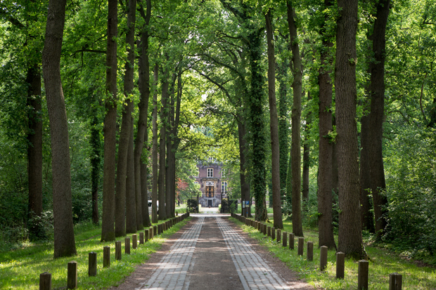 FF_fotografie_natuur_brabant_Kampina_Oisterwijk_01
