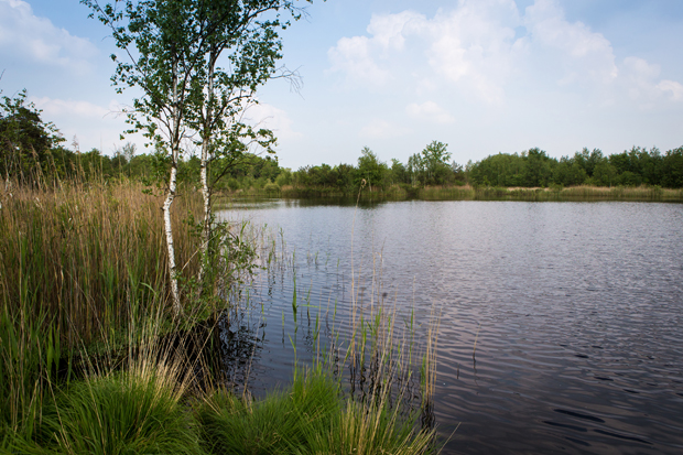FF_fotografie_natuur_brabant_Kampina_Oisterwijk_07