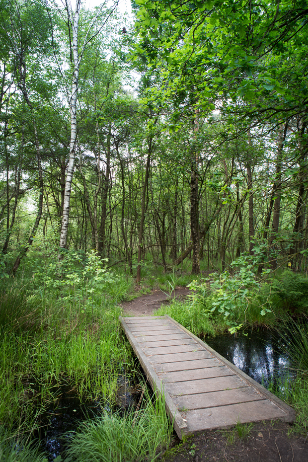 FF_fotografie_natuur_brabant_Kampina_Oisterwijk_09