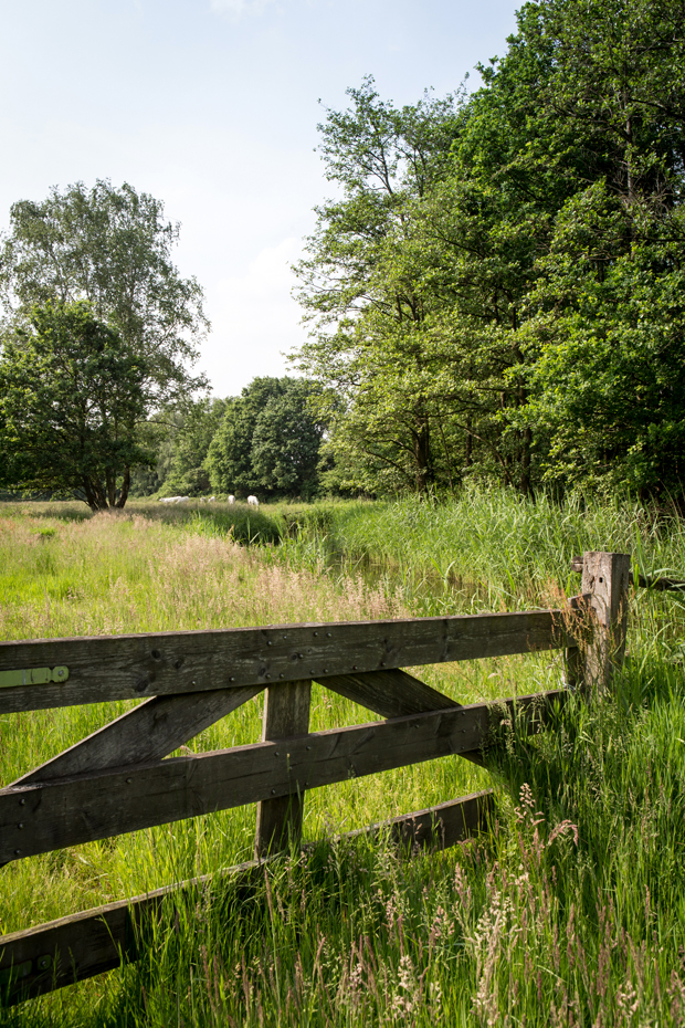 FF_fotografie_natuur_brabant_Kampina_Oisterwijk_14