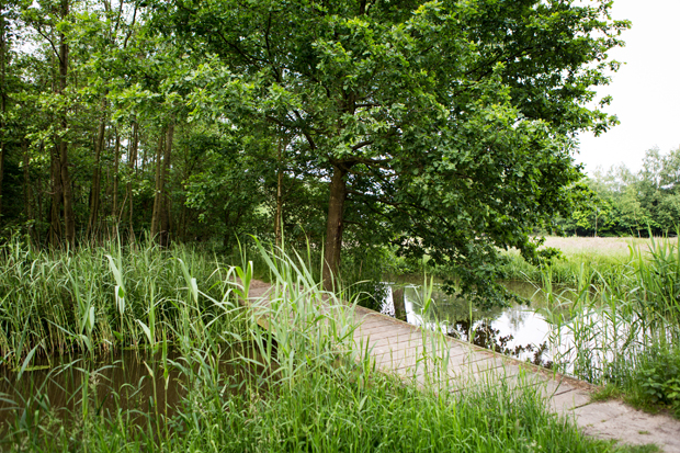 FF_fotografie_natuur_brabant_Kampina_Oisterwijk_15