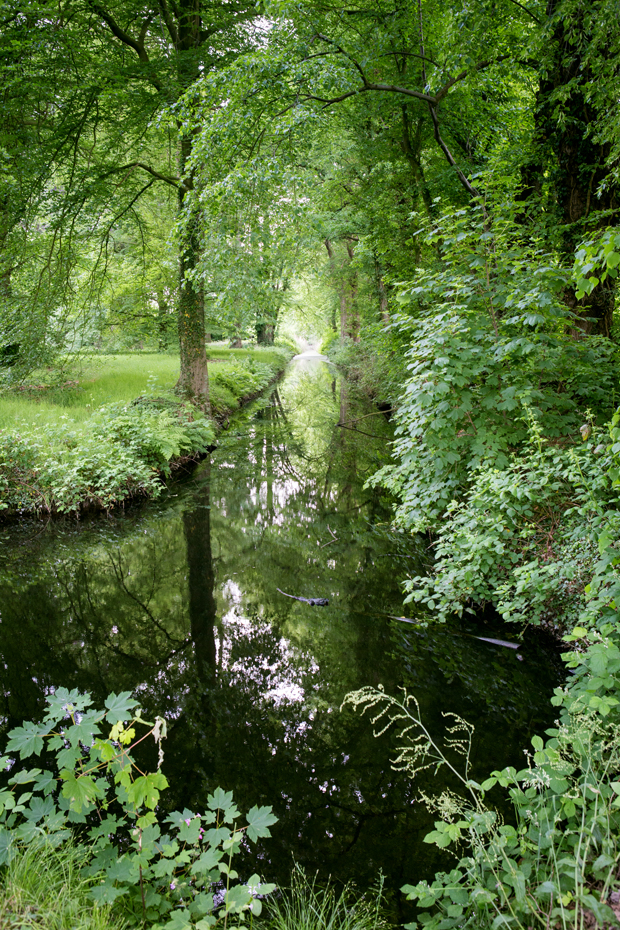 FF_fotografie_natuur_brabant_Kampina_Oisterwijk_16
