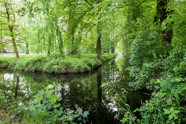 FF_fotografie_natuur_brabant_Kampina_Oisterwijk_17