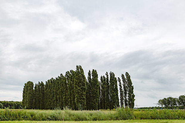FF_Flevoland_Persreis_LandArt_DeGroeneKathedraal_11