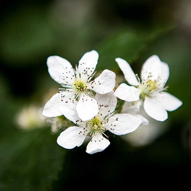 FF_tutorial_verloop_schaduwen_selectieve-kleur_01