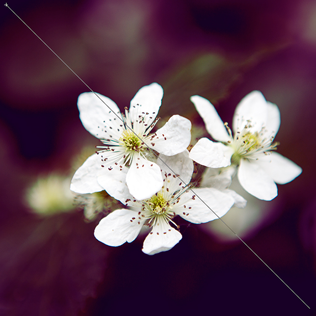 FF_tutorial_verloop_schaduwen_selectieve-kleur_05