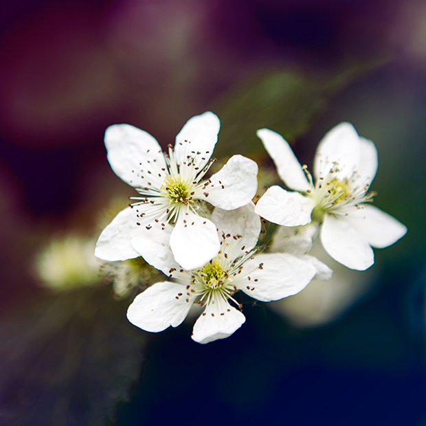 FF_tutorial_verloop_schaduwen_selectieve-kleur_07