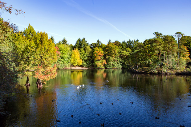 ff_herfst-2016-fotografie_wandelbos_tilburg_02