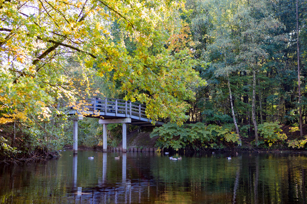 ff_herfst-2016-fotografie_wandelbos_tilburg_06