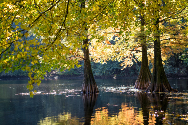 ff_herfst-2016-fotografie_wandelbos_tilburg_08