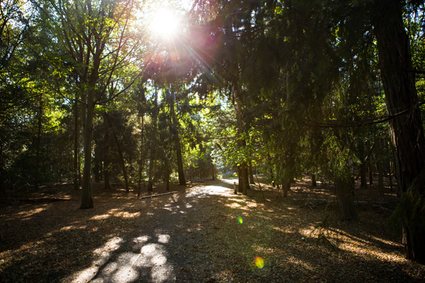 ff_herfst-2016-fotografie_wandelbos_tilburg_10
