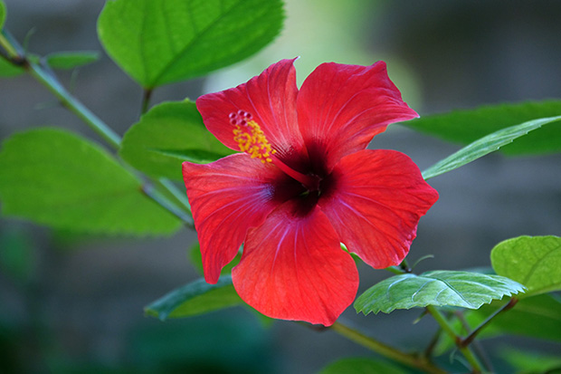 ff_fotografie_sevilla_stedentrip_sony_rx10iii_18