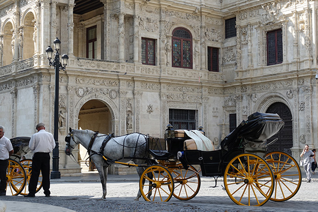 ff_fotografie_sevilla_stedentrip_sony_rx10iii_24