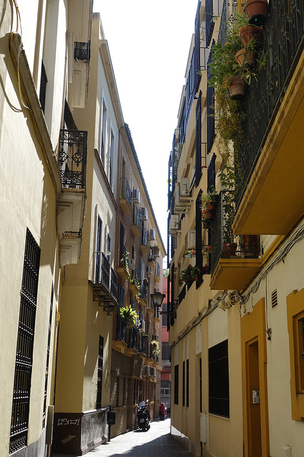 ff_fotografie_sevilla_stedentrip_sony_rx10iii_26