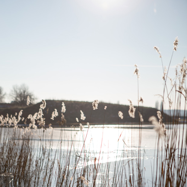 FF_Heusden_fotografie_2017_winter_02