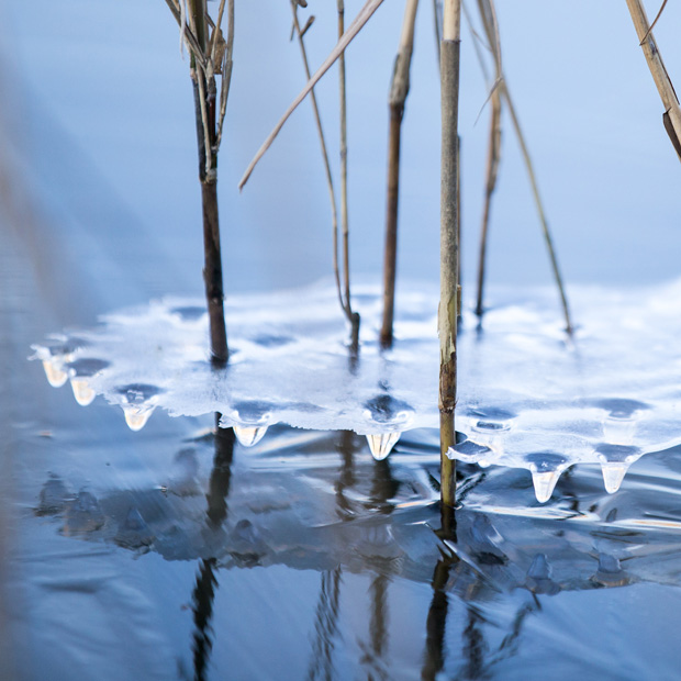 FF_Heusden_fotografie_2017_winter_04