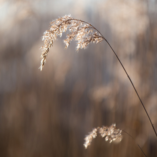 FF_Heusden_fotografie_2017_winter_06