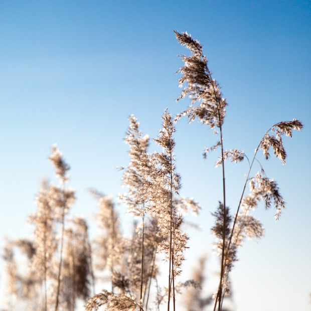 FF_Heusden_fotografie_2017_winter_09