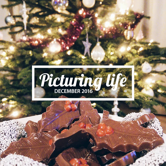 ff_instagram_december_2016