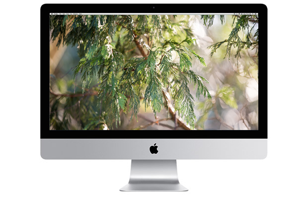 FF_free_wallpaper_download_achtergrond_2017_01_VB