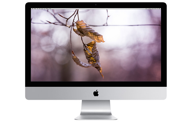 FF_free_wallpaper_download_achtergrond_2017_02_VB