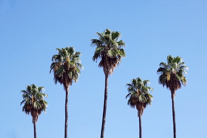 FF_photoshop_tutorial_tekst-in-foto-verwerken_01