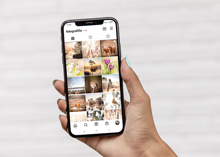 FF_perfecte-instagram-feed-maken perfecte instagram feed maken in 2025
