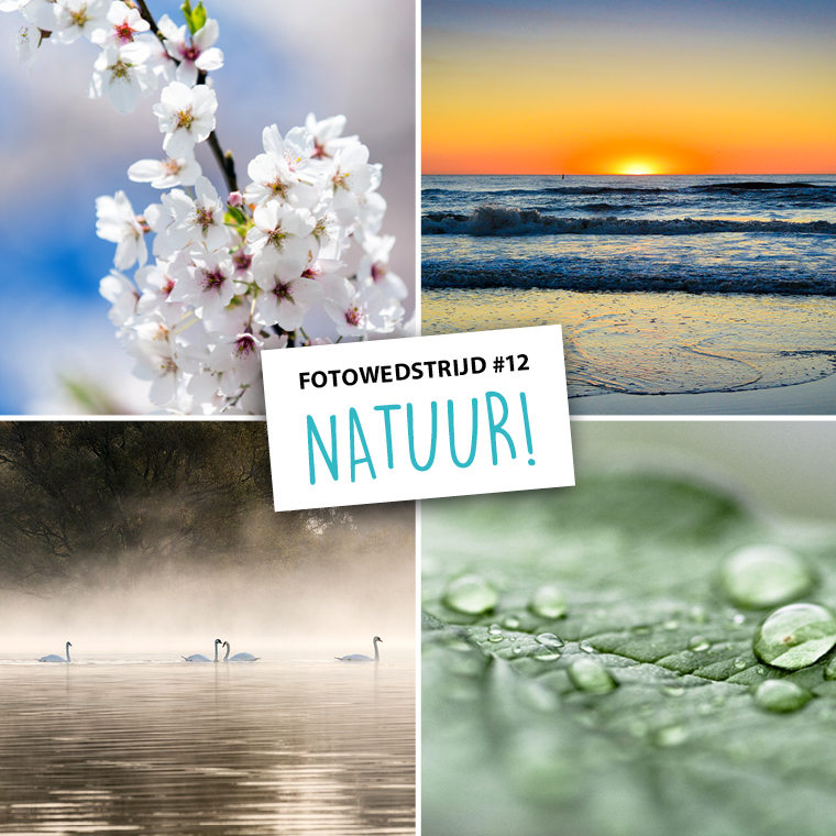 FF_fotowedstrijd_12_NATUUR_intro-afb