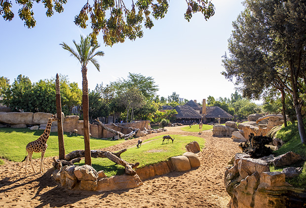 fotografie hotspots in valencia