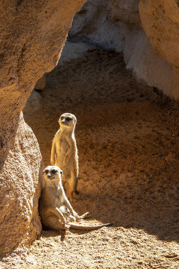 fotografie hotspots in valencia