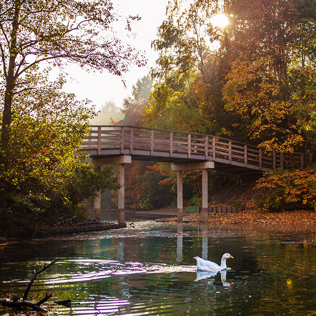 herfst in het Wandelbos in Tilburg