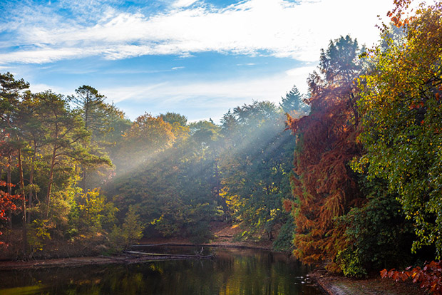 herfst in het Wandelbos in Tilburg