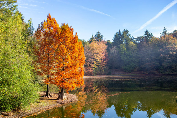 herfst in het Wandelbos in Tilburg