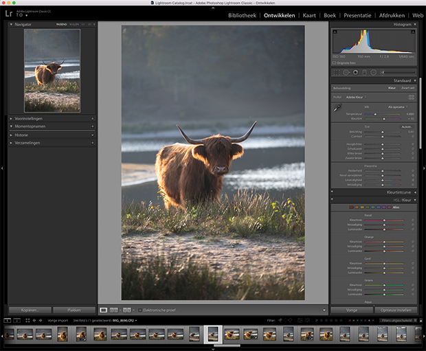 moody fotobewerking in Lightroom