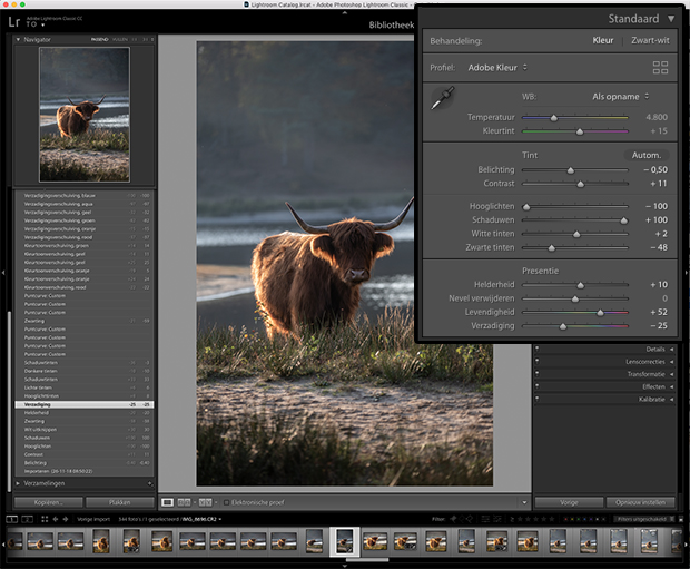 moody fotobewerking in Lightroom