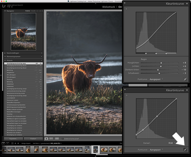moody fotobewerking in Lightroom
