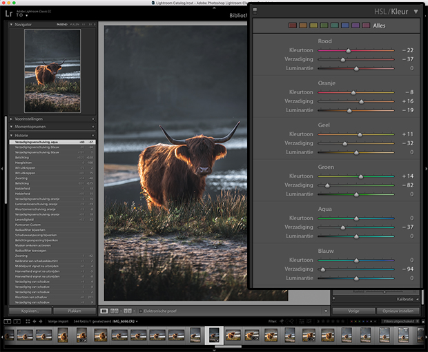 moody fotobewerking in Lightroom