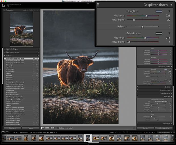 moody fotobewerking in Lightroom
