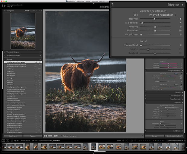 moody fotobewerking in Lightroom