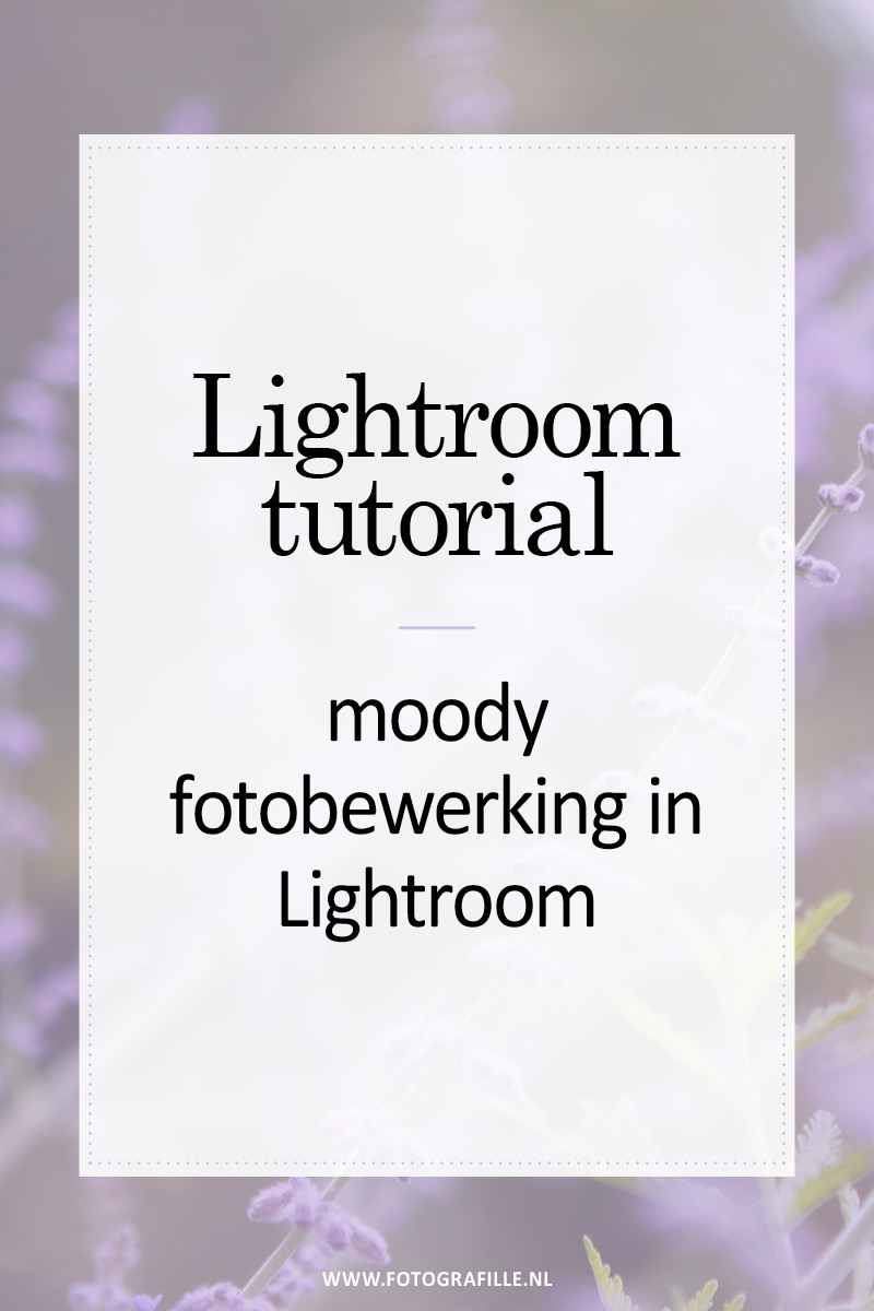 moody fotobewerking in lightroom