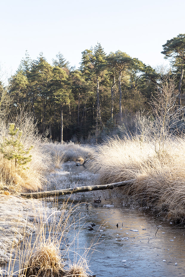 Oisterwijkse Vennen fotograferen