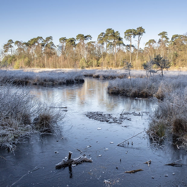 Oisterwijkse Vennen fotograferen